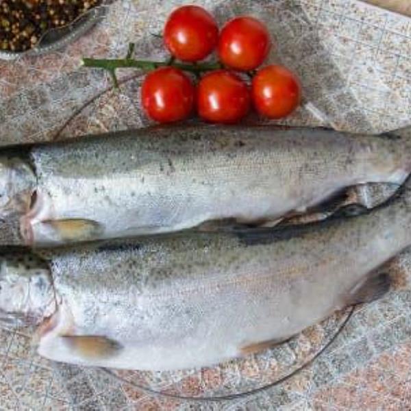 Форель целая с/м кг - פורל שלם קפוא קג